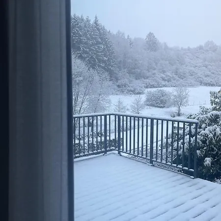 House With A View - Modernes In Der Eifel בית נופש אנטוויילר