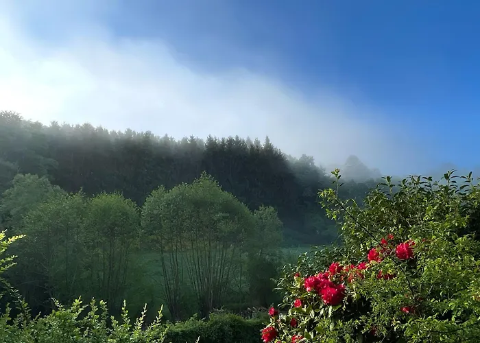 Ferienhaus House With A View - Modernes In Der Eifel Antweiler