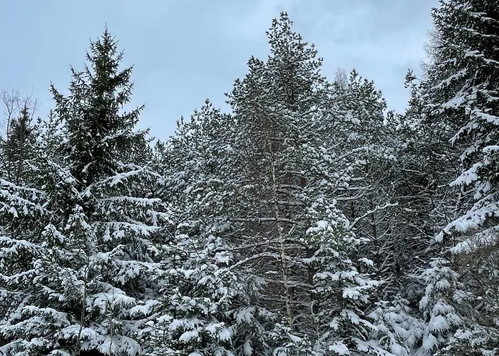 Ferienhaus House With A View - Modernes In Der Eifel