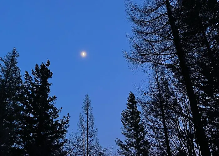 House With A View - Modernes In Der Eifel Ferienhaus *