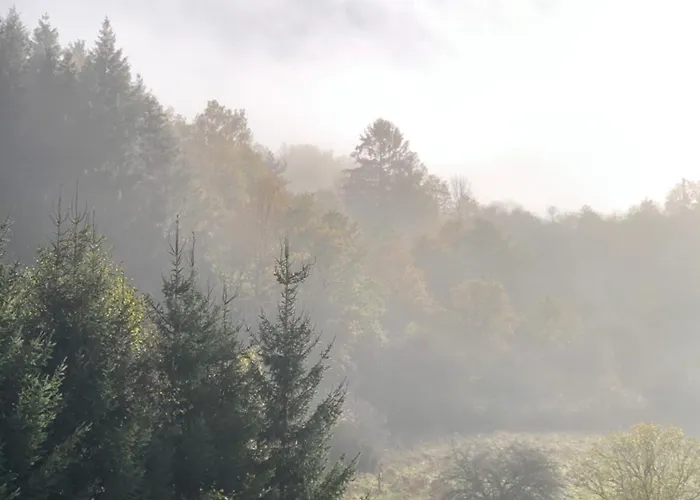 House With A View - Modernes In Der Eifel Ferienhaus *